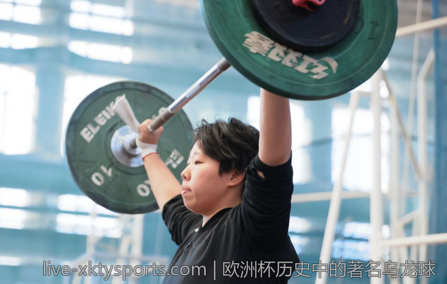 欧洲杯历史中的著名乌龙球